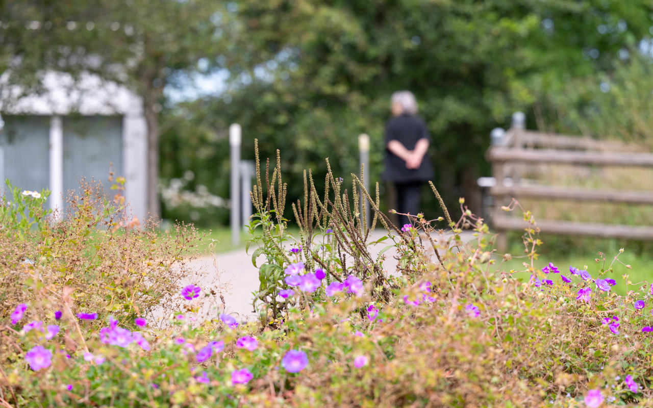 Rehaklinik Zihlschlacht Sinnesgarten